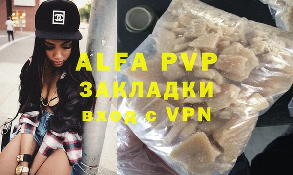 прущие грибы Тихвин