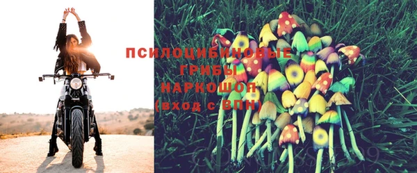 Альфа ПВП Тобольск
